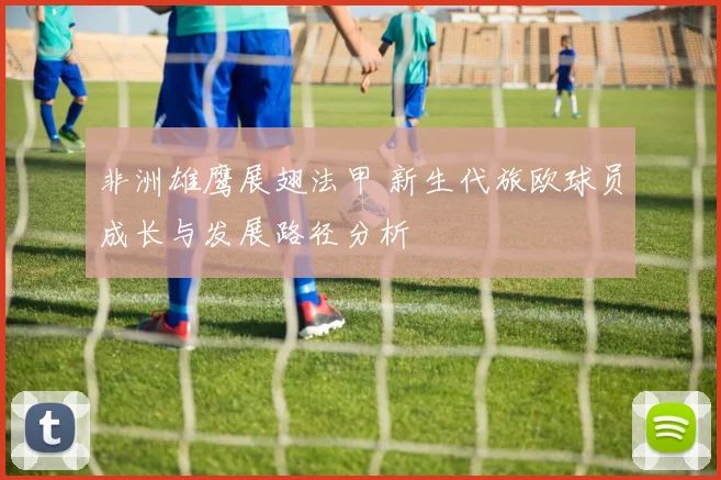 非洲雄鹰展翅法甲 新生代旅欧球员成长与发展路径分析