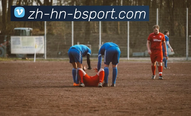 App Interface Preview